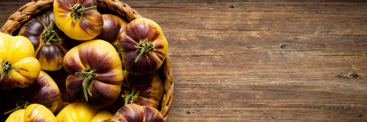 A Garden of Enchanted Living